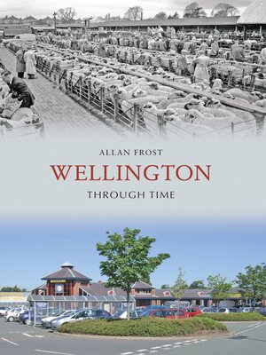 cover image of Wellington Through Time